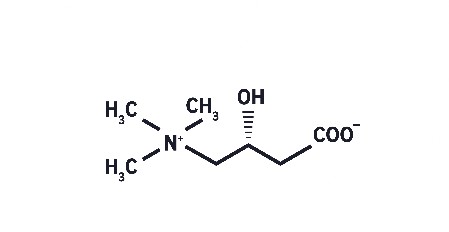 L - Carnitine L - Carnitine